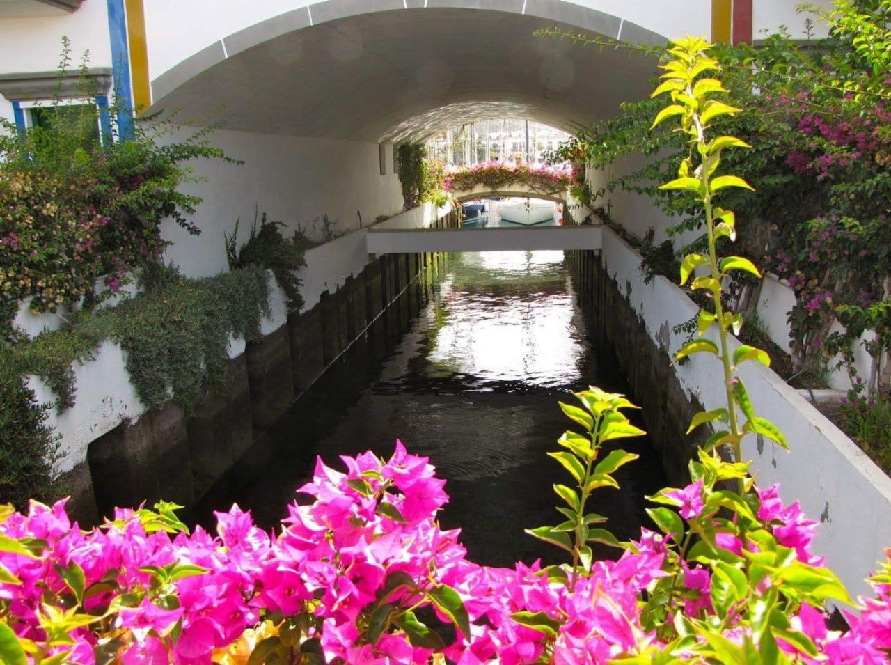 Apartamento Sunset Puerto De Mogan Dış mekan fotoğraf